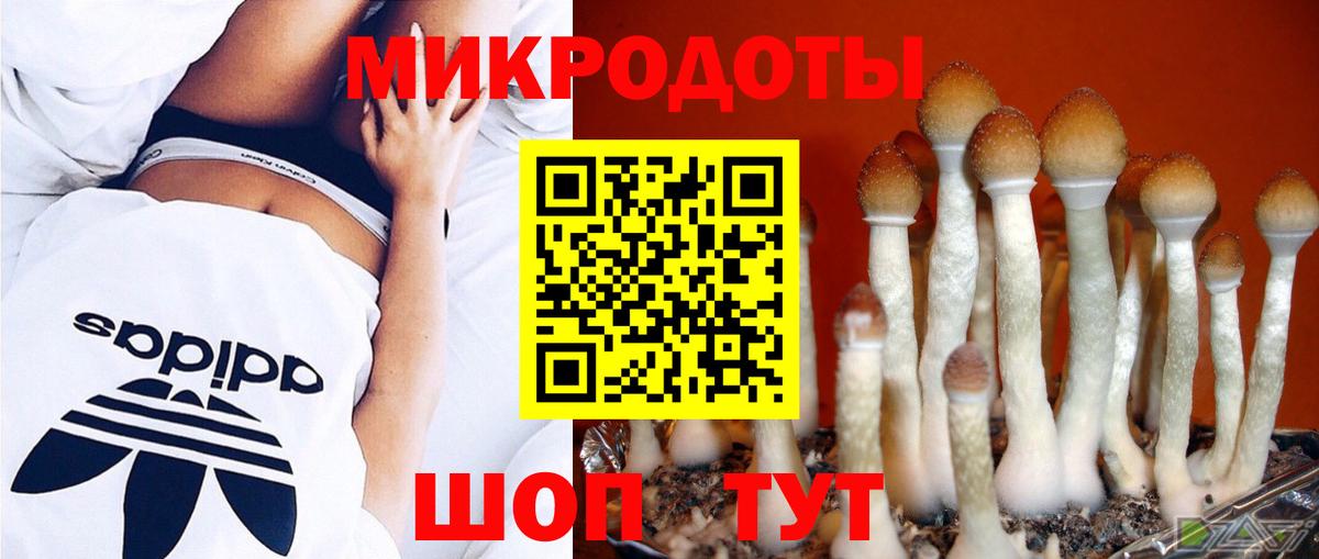 Псилоцибиновые грибы GOLDEN TEACHER Миасс
